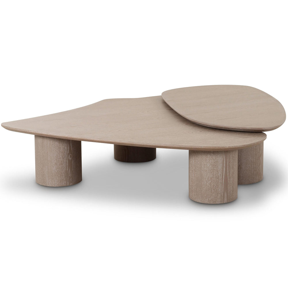 Rhema Nesting Coffee Table Set, Washed Ash