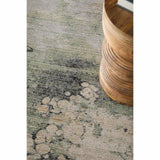 Feizy Rug Sonora 39U9F, Green/Beige-Rugs1-High Fashion Home