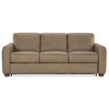Griffin Queen Sleeper Leather Sofa, Dante Sandhills-Furniture - Sofas-High Fashion Home