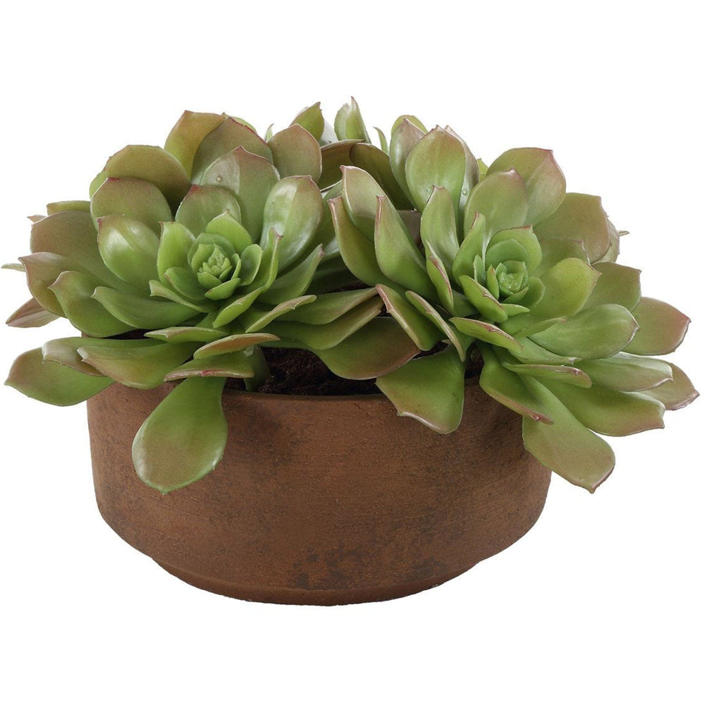Sable Succulent Accent, Terracotta-Accessories-High Fashion Home