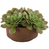 Sable Succulent Accent, Terracotta-Accessories-High Fashion Home