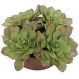 Sable Succulent Accent, Terracotta-Accessories-High Fashion Home