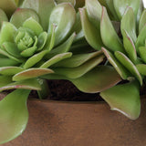 Sable Succulent Accent, Terracotta-Accessories-High Fashion Home