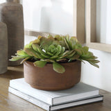 Sable Succulent Accent, Terracotta-Accessories-High Fashion Home