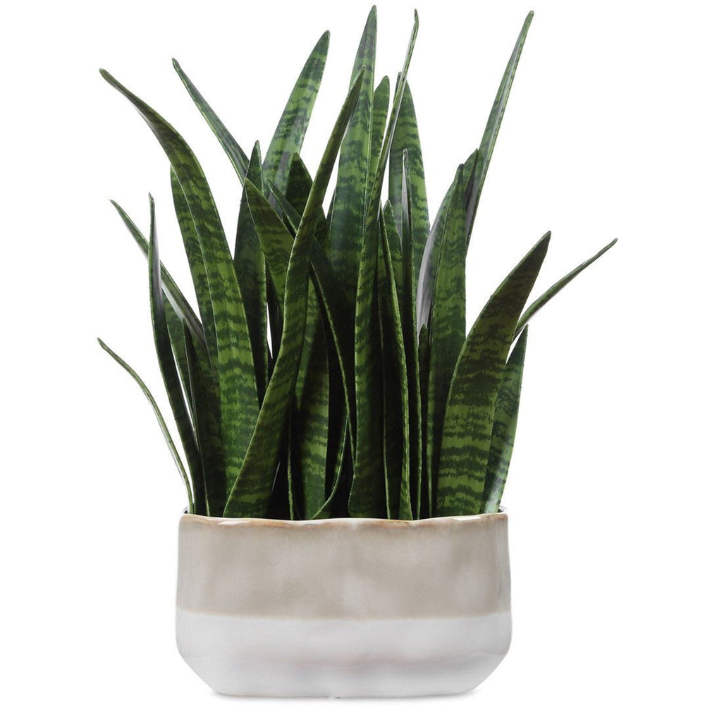 Sansera Snake Accent, Beige Ombre-Accessories-High Fashion Home