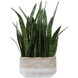 Sansera Snake Accent, Beige Ombre-Accessories-High Fashion Home