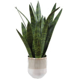 Sansera Snake Accent, Beige Ombre-Accessories-High Fashion Home