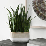 Sansera Snake Accent, Beige Ombre-Accessories-High Fashion Home