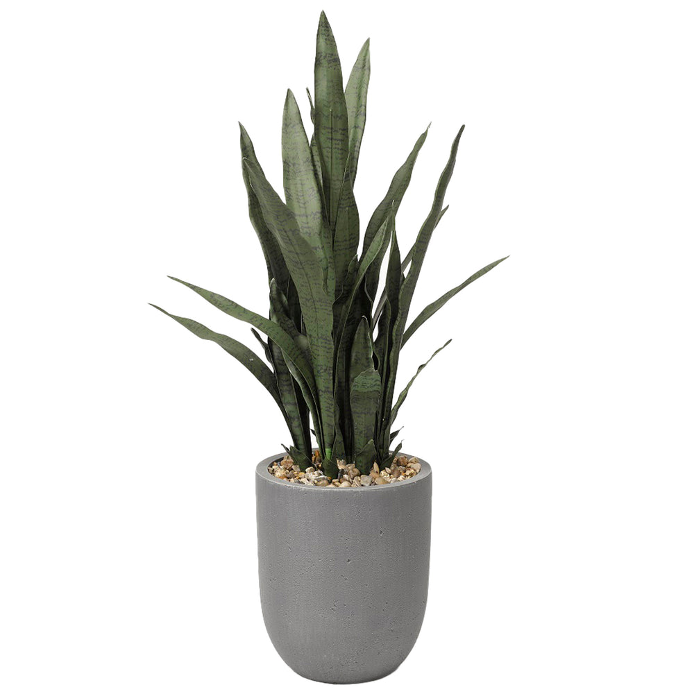 Sansevieria Plant in Round Planter, Grey-Accessories-High Fashion Home