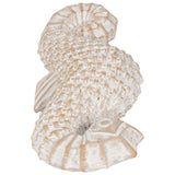 Seahorse, White Wash-Accessories-High Fashion Home