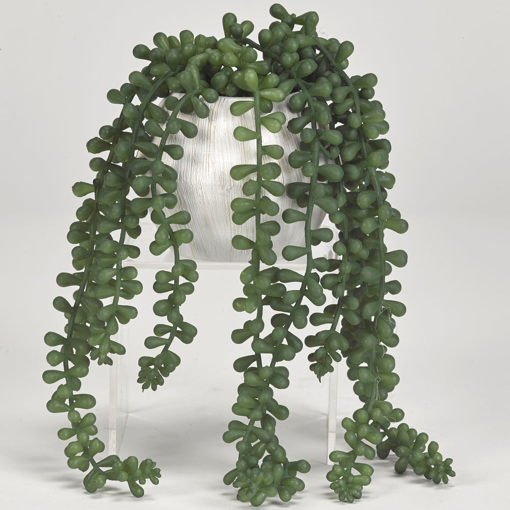 Sedum Spray in Large Cove Vase, White-Accessories-High Fashion Home