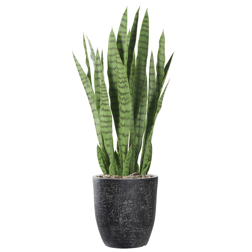 Snake Plant in Etched Planter, Black-Accessories-High Fashion Home