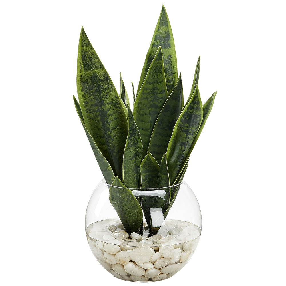 Snake Plant in Large Bubble Bowl, Clear-Accessories-High Fashion Home