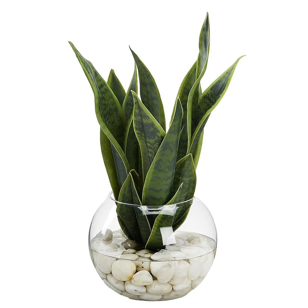 Snake Plant in Small Bubble Bowl, Clear-Accessories-High Fashion Home