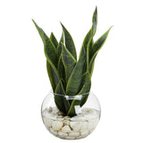 Snake Plant in Small Bubble Bowl, Clear-Accessories-High Fashion Home