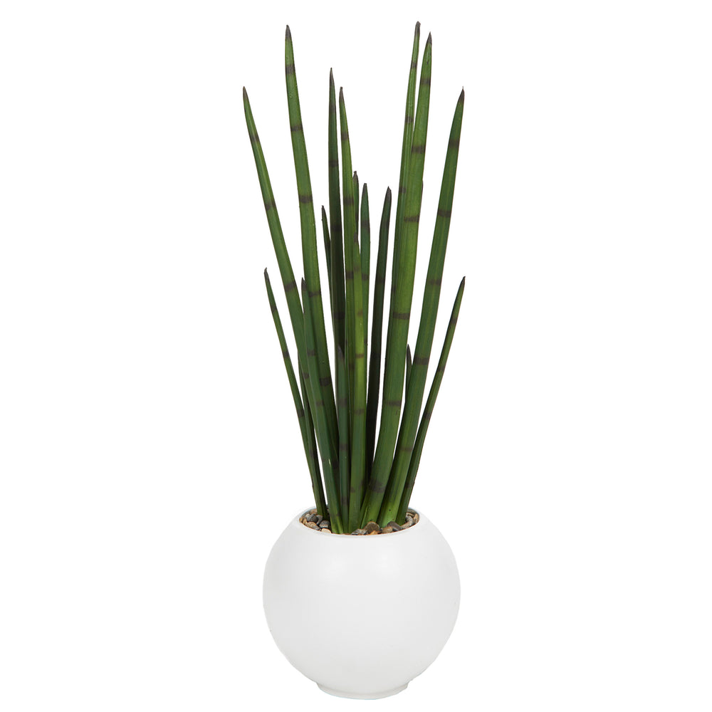 Snake Plant in Small Porter Planter, White-Accessories-High Fashion Home