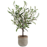 Solea Olive Accent, Neutral Tan-Accessories-High Fashion Home