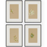 Sprig Symphony Set Framed by Brittany Smith, Brimfield Black by Four Hands