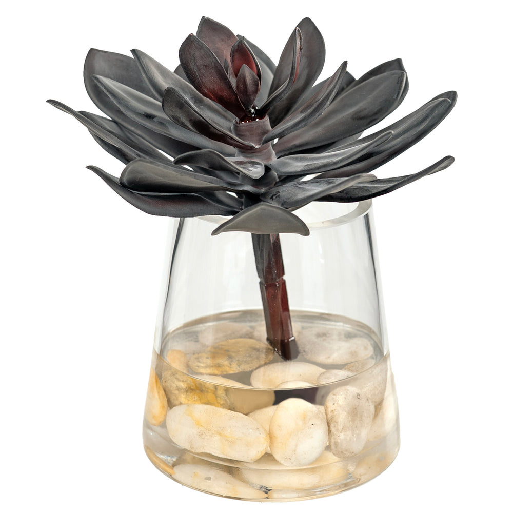Succulent in Tapered Glass, Clear-Accessories-High Fashion Home