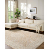 Surya Lovebliss Rug The Vintage Edit RZVE-2301, Beige Multi
