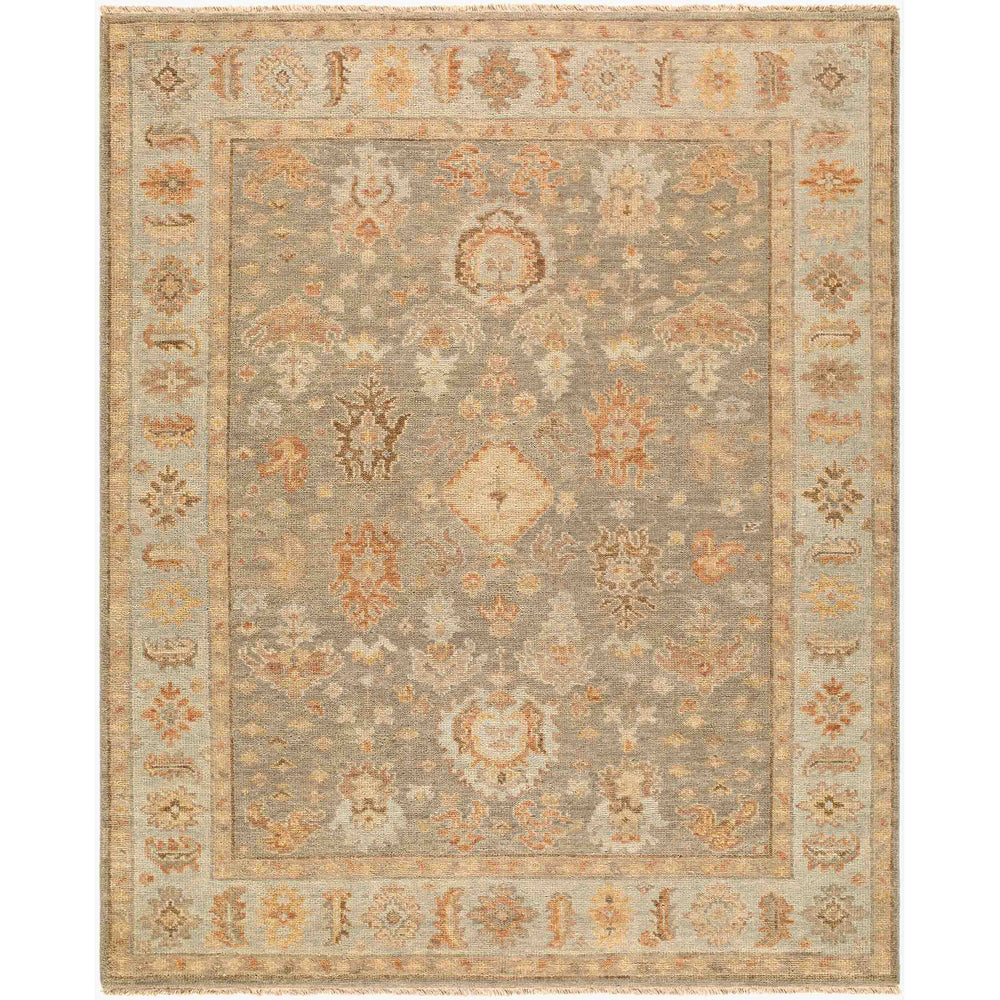 Surya Rug Biscayne BSY-2322, Brown Multi