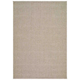 Surya Rug Denizli DNZ-2303, Beige