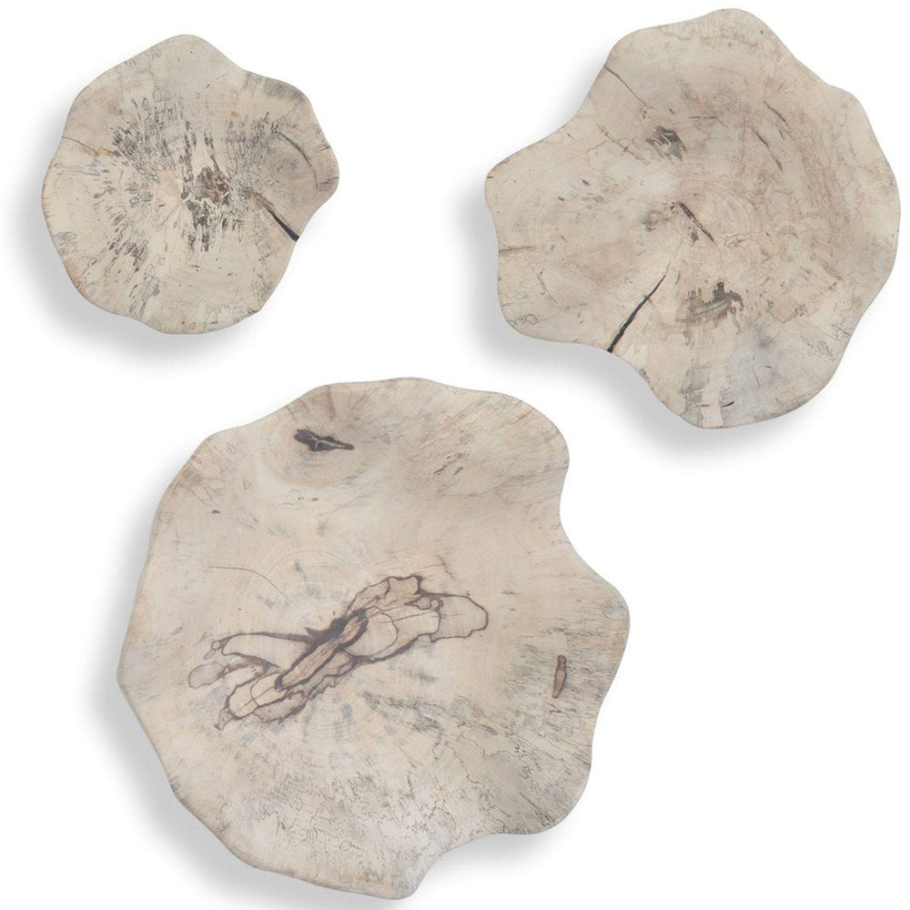 Teo Wood Wall Decor Set of 3, Bleached-Accessories-High Fashion Home