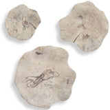 Teo Wood Wall Decor Set of 3, Bleached-Accessories-High Fashion Home