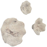 Teo Wood Wall Decor Set of 3, Bleached-Accessories-High Fashion Home