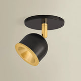 Tuthill Flush Mount, Aged Brass/Distressed Bronze