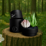 Secluded Cabin Candle Refill-Candle Tin-High Fashion Home