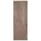 Bane Bookshelf, Smoked Pine by Four Hands — BCK_1