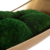 Venice Moss Centerpiece, Natural-Accessories-High Fashion Home