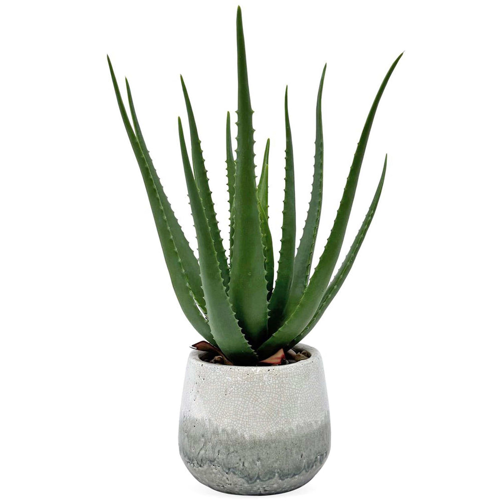 Veranda Outdoor Aloe Accent, Blue/Gray-Accessories-High Fashion Home