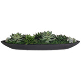 Verde Succulent Centerpiece, Black-Accessories-High Fashion Home