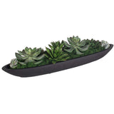 Verde Succulent Centerpiece, Black-Accessories-High Fashion Home