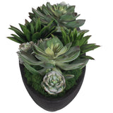 Verde Succulent Centerpiece, Black-Accessories-High Fashion Home