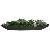 Verde Succulent Centerpiece, Black-Accessories-High Fashion Home