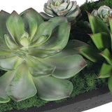 Verde Succulent Centerpiece, Black-Accessories-High Fashion Home