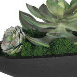 Verde Succulent Centerpiece, Black-Accessories-High Fashion Home