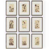 Wild Blooms Set by Four Hands-Accessories Artwork-High Fashion Home
