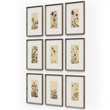 Wild Blooms Set by Four Hands-Accessories Artwork-High Fashion Home