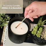 The Hidden Candle-Succulent & Candle-High Fashion Home