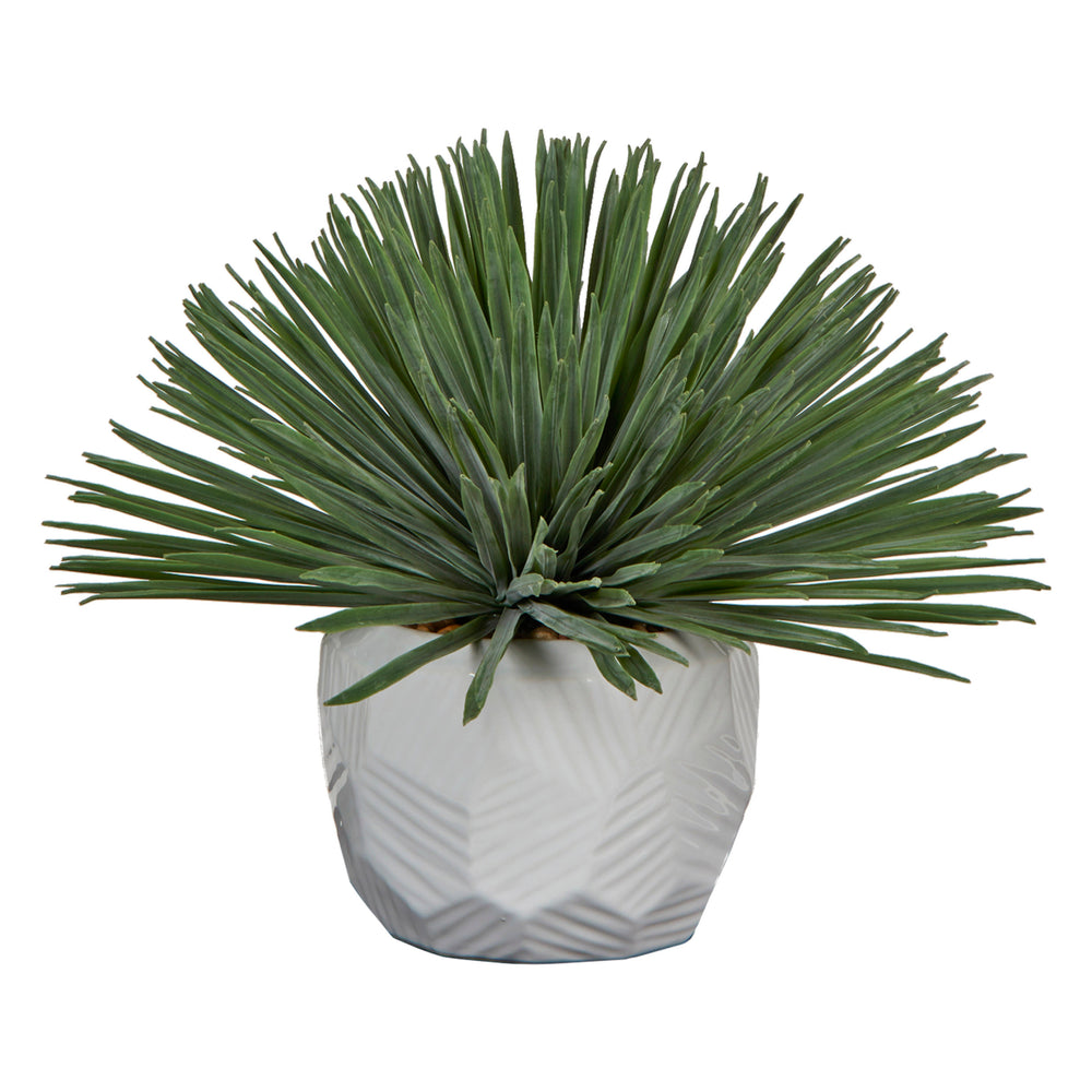 Yucca Rostrata in Flinstone Planter, White-Accessories-High Fashion Home