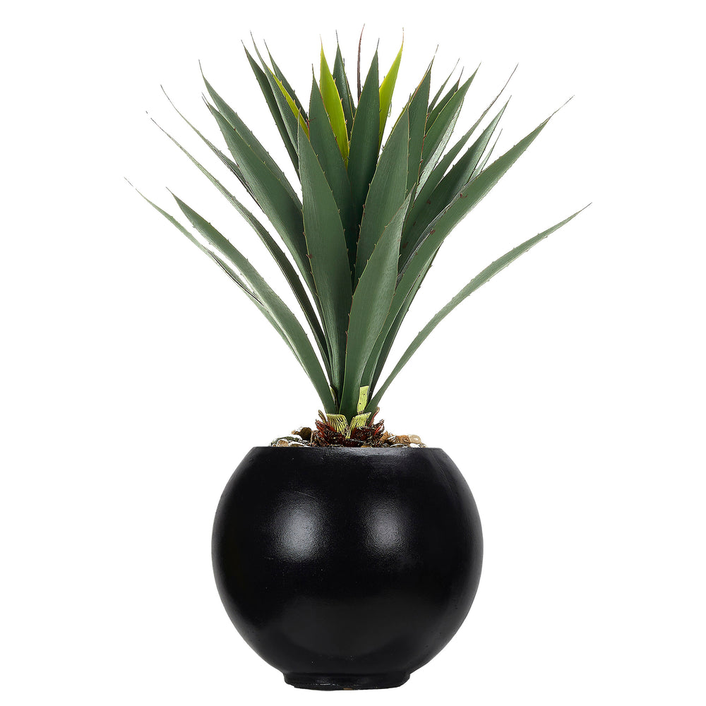 Yucca in Porter Planter, Black-Accessories-High Fashion Home