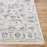 Surya Livabliss Rug Alston AON-2301, Ivory/Light Beige/Medium Gray/Olive/Dark Blue/Brown/Black/Medium Brown