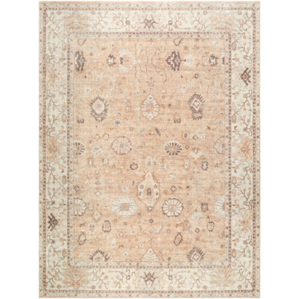 Becki Owens x Livabliss Rug Davina BOCC-2303, Tan/Cream/Dark Brown/Brown/Dusty Sage-Rugs1-High Fashion Home