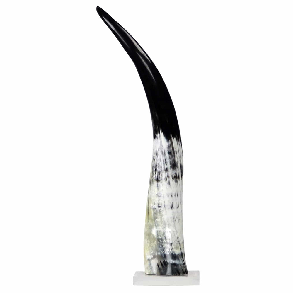 Cow Horn on Base, Black and White