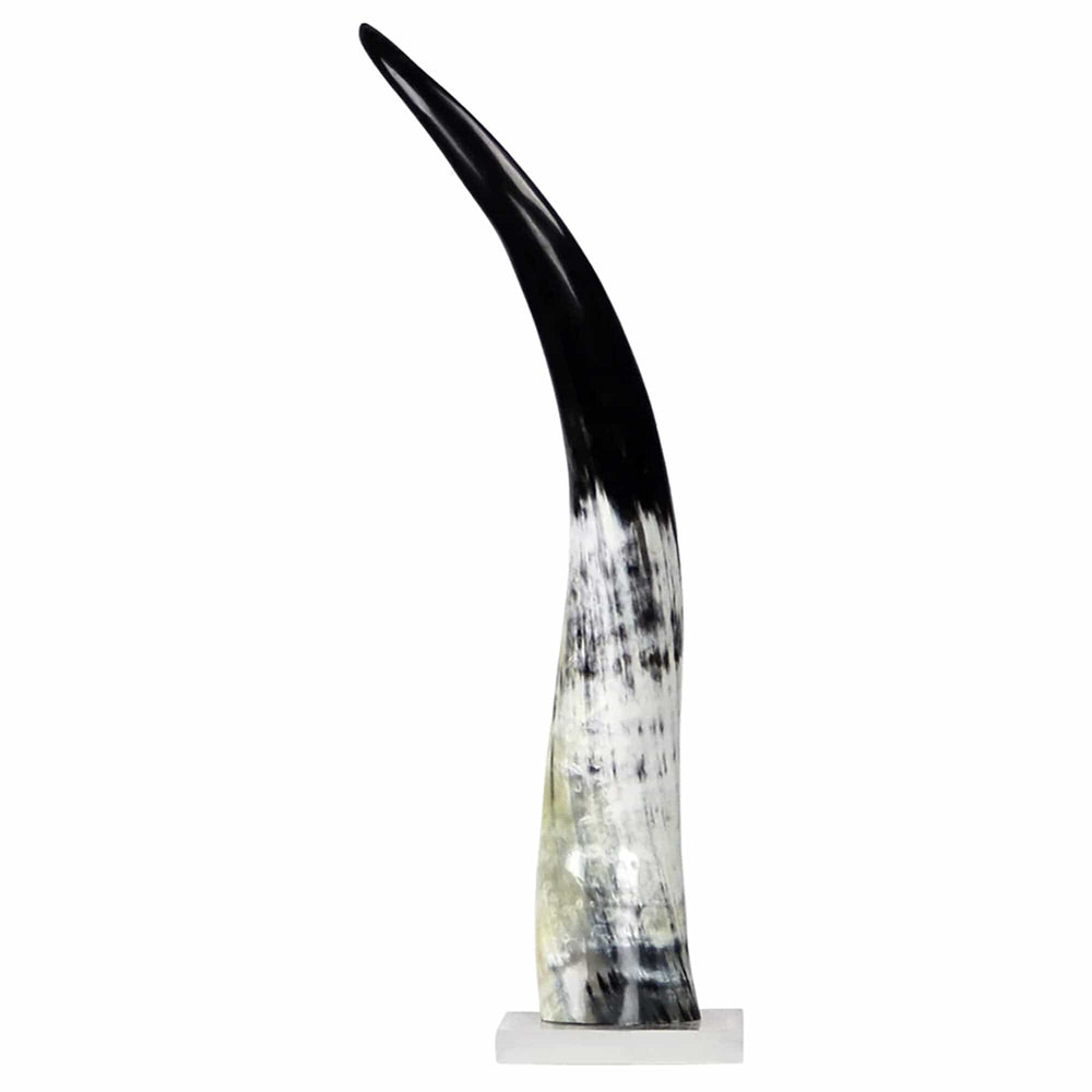 Cow Horn on Base, Black and White-Accessories-High Fashion Home