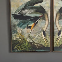 Curiosities XIII Framed